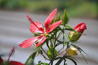20150803-02.jpg