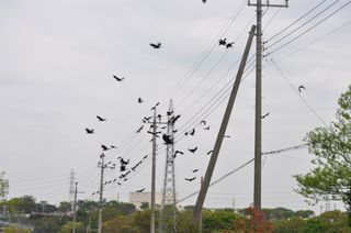 20170422-01.jpg